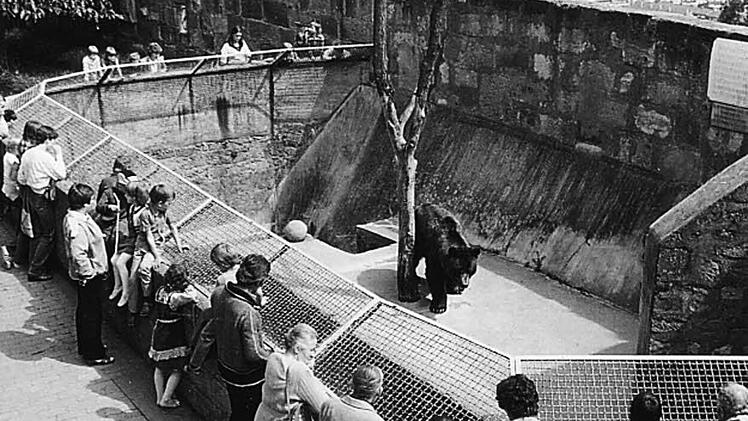 Als dritter und letzter Burgbär fristete Poldi auf der Bamberger Altenburg sein Leben. Foto: Emil Bauer/ Stadtarchiv