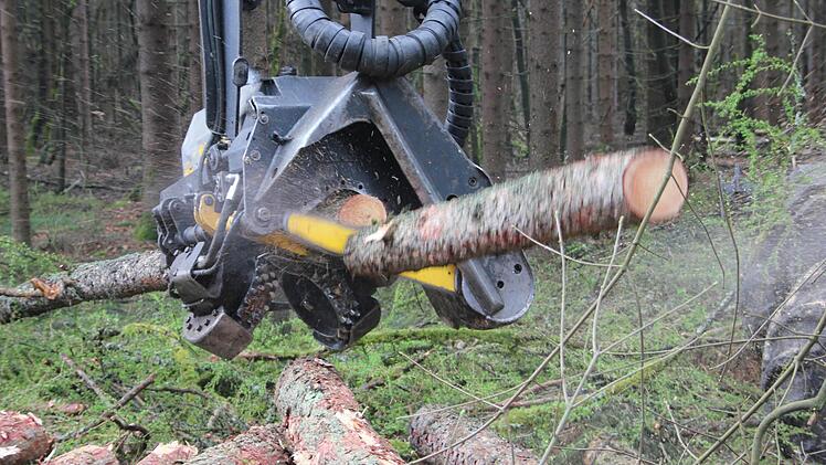 Die Bäume werden entastet, vermessen und durch eine per Öldruck angetriebene Kettensäge abgelängt.  Fotos: Friedwald Schedel