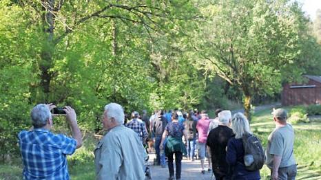 Die Wandergruppe auf einem Teilstück der insgesamt rund 335 Hektar großen Fläche zwischen Eichelberg und Reutersbrunn.