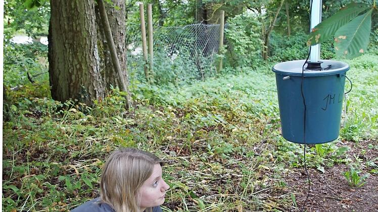 Mit solchen Lichtfallen ist Doktorandin Lea Haldrich den Nachtfaltern auf der Spur.