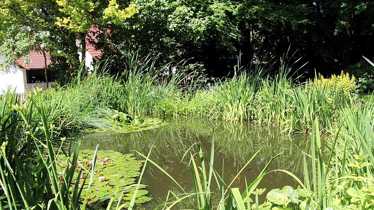 Im Garten der Hausmanns gibt es viel zu entdecken. Foto: Richard Sänger