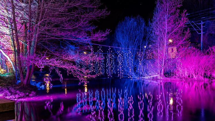 Das Lichtfestival fand 2023 auf dem Landesgartenschaugelände statt.