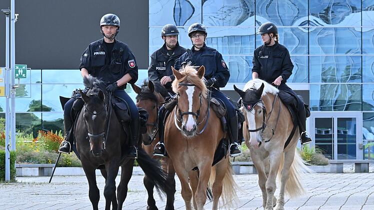 Vor dem AfD-Bundesparteitag