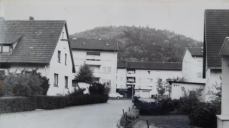 Blick in den nach Edmund moeller benannten Moellerweg in neustadt im Jahr 1982.Foto: Tageblatt-Archiv