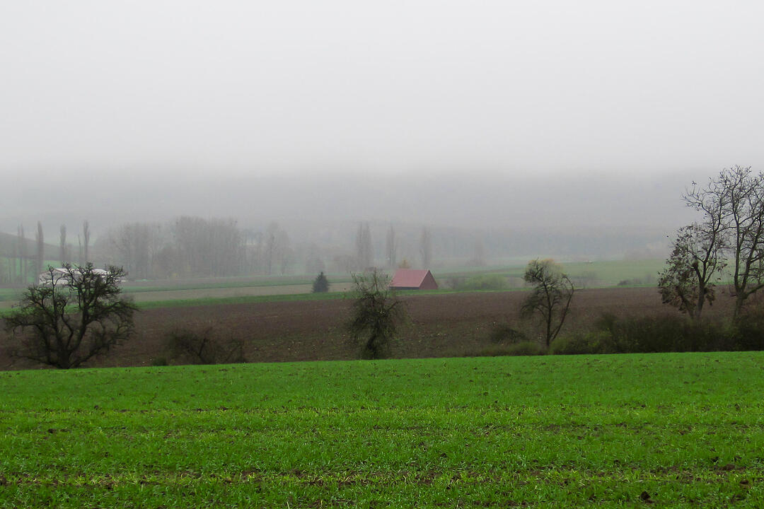 Fotos Konrad Thomann