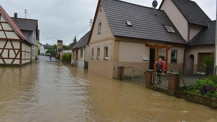 Wiesengiech. Foto:Ronald Rinklef