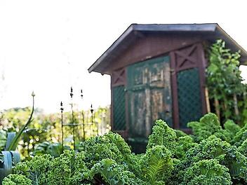 Beim Kreisverband f&uuml;r Gartenbau und Landespflege Bayreuth kann man sich zum Gartenpfleger ausbilden lassen. Foto: privat