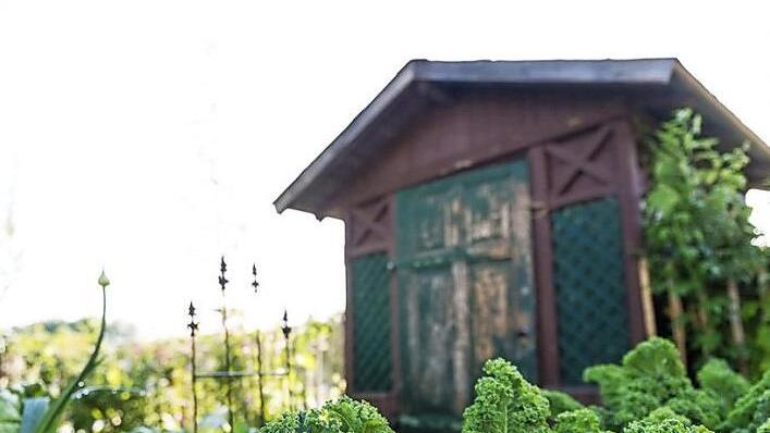 Beim Kreisverband f&uuml;r Gartenbau und Landespflege Bayreuth kann man sich zum Gartenpfleger ausbilden lassen. Foto: privat