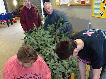 Die Tannenb&auml;ume aus Oehrberg sorgen seit Jahren schon in der Aula der Franz-von-Pr&uuml;mmer-Schule in Bad Kissingen f&uuml;r weihnachtliche Stimmung. Hier wird eine Nordmanntanne von F&ouml;rderlehrer Franz Grosse und seinen Sch&uuml;lern fachgerecht montiert. Foto: Klaus Scheuring
