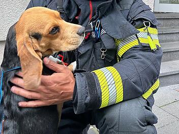 Karlstadt: Feuerwehr rettet Hund aus Haus - Sauna fängt plötzlich an zu rauchen Karlstadt: Feuerwehr rettet Hund aus Haus - Sauna fängt plötzlich an zu rauchen