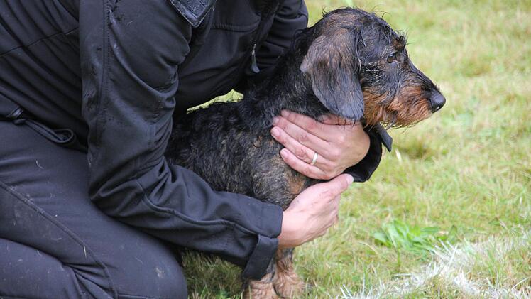 Foto: Mariell Dörrschmidt