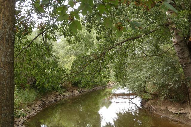 Der Main bei Frankenberg