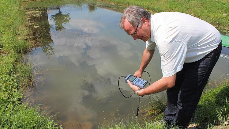 Martin Oberle misst Sauerstoff und Temperatur im Teich. Foto: Andreas Dorsch