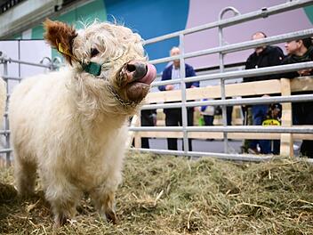 90. Gr&uuml;ne Woche Berlin - Er&ouml;ffnungstag
