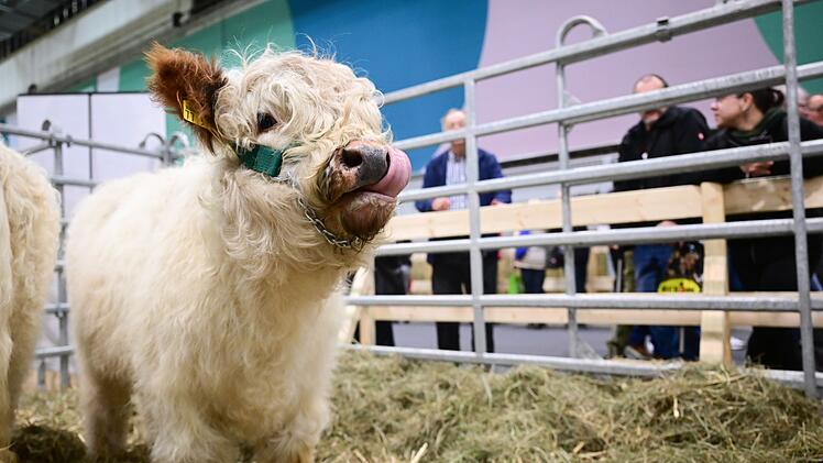 90. Gr&uuml;ne Woche Berlin - Er&ouml;ffnungstag