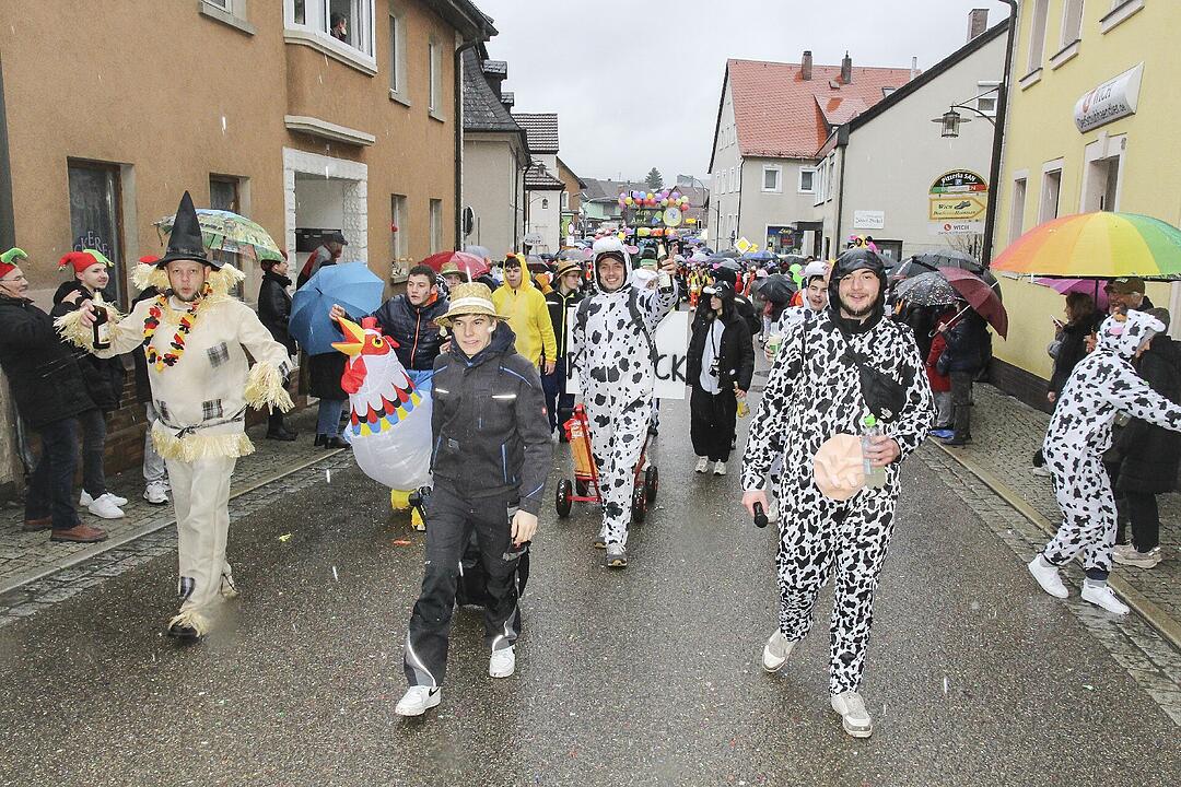 Stadtsteinacher Narrentreiben 2024