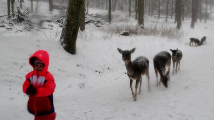 Mama, die "Rehe"  haben immer noch Hunger.  Foto: Werner Vogel