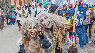Wildes Faschingstreiben in Allersberg!