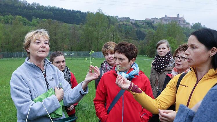 Kräuterseminar: Impressionen einer Entdeckungsreise Foto: Barbara Herbst