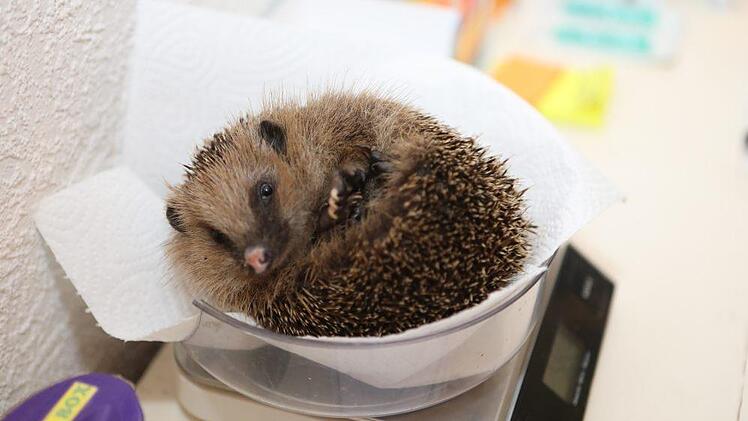 Foto: Barbara Herbst