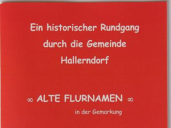 Die Broschüre von Hans Schaub Foto: Mathias Erlwein