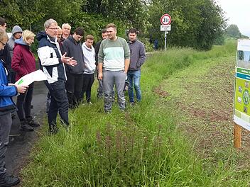 Den praktischen Teil seiner Projektarbeit stellte Lukas Roth (2. von rechts) an Ort und Stelle in Roßbach vor. Fachkundige Erläuterungen zum Anbau einer Blühmischung als Streifensaat machte am Rande des Maisackers Dr. Reinhard Bischoff (Bildmitte) vom Schweinfurter Amt für Ernährung, Landwirtschaft und Forsten.Foto: Rolf Pralle