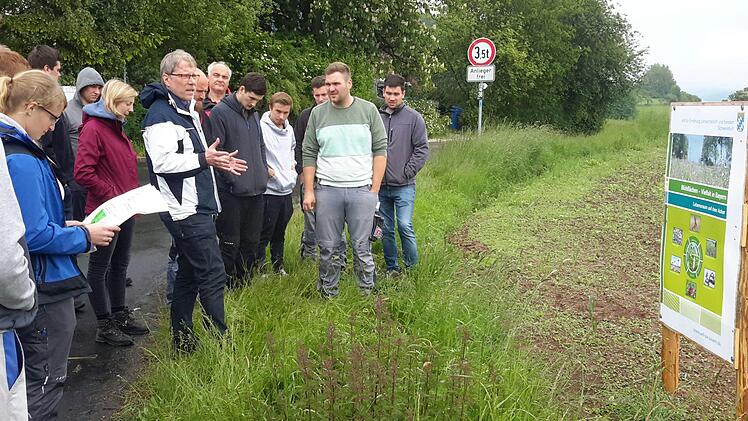 Den praktischen Teil seiner Projektarbeit stellte Lukas Roth (2. von rechts) an Ort und Stelle in Roßbach vor. Fachkundige Erläuterungen zum Anbau einer Blühmischung als Streifensaat machte am Rande des Maisackers Dr. Reinhard Bischoff (Bildmitte) vom Schweinfurter Amt für Ernährung, Landwirtschaft und Forsten.Foto: Rolf Pralle