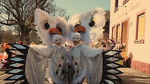 Fasching 2025 im Landkreis Bad Kissingen!