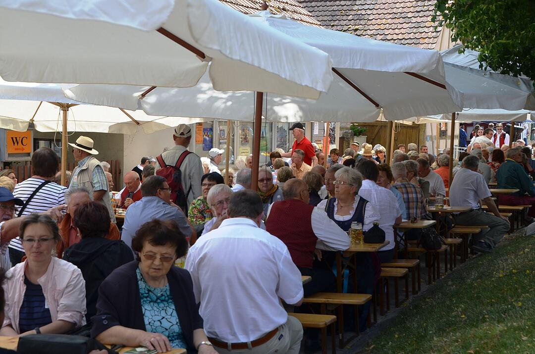 Fr&auml;nkischer Volksmusiktag