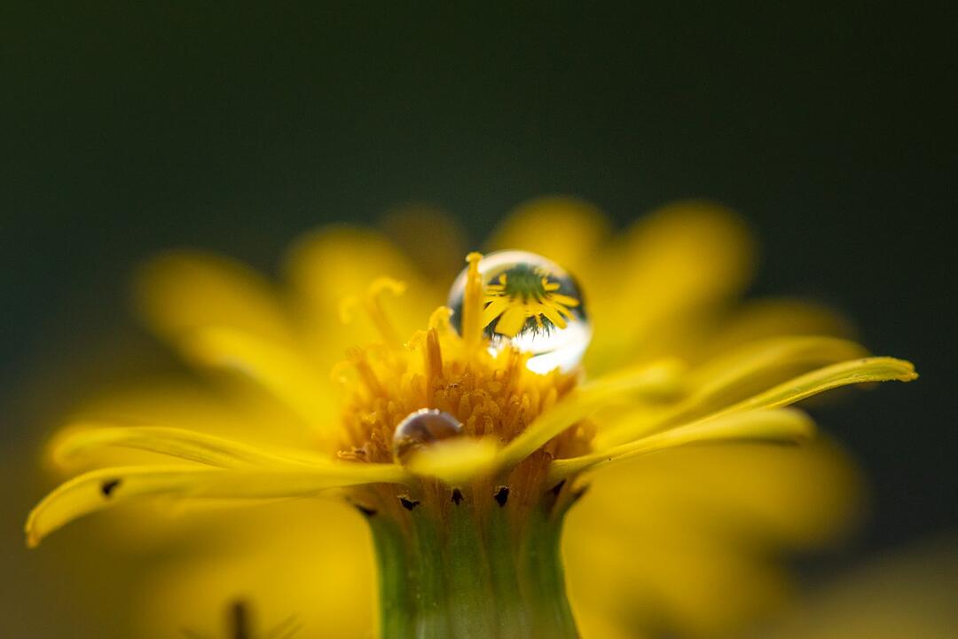 Die schönsten Fotos im September aus Coburg und Umgebung
