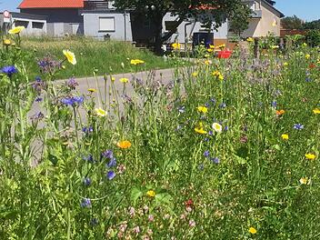 So könnte das aussehen: "Der blühende Landkreis" könnte zu einem Projekt werden. Ansätze hat es, wie hier bei Sylbach schon gegeben. Foto: Günther Geiling