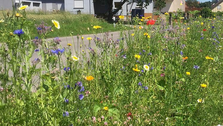 So könnte das aussehen: "Der blühende Landkreis" könnte zu einem Projekt werden. Ansätze hat es, wie hier bei Sylbach schon gegeben. Foto: Günther Geiling