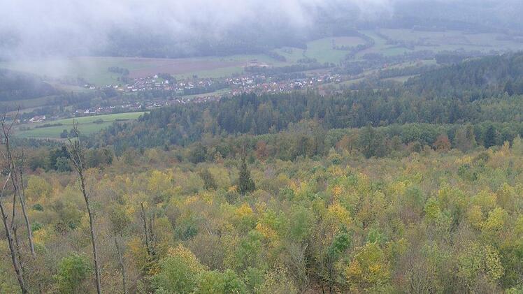 Das war der Anblick vom Mottener Aussichtsturm nach der Fällaktion. Foto: Stephanie Elm