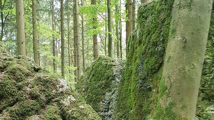 Der Druidenhain Foto: Ronald Heck