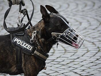 Kulmbach: Gefährderansprachen in mehreren Asylheimen - Polizei erhöht Präsenz an Ostern