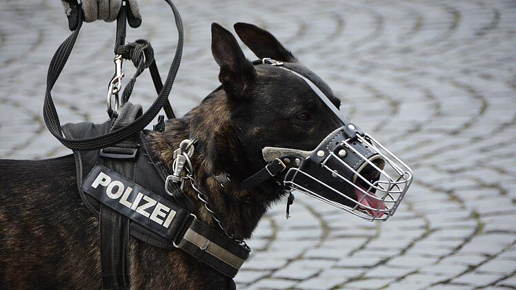 Kulmbach: Gefährderansprachen in mehreren Asylheimen - Polizei erhöht Präsenz an Ostern
