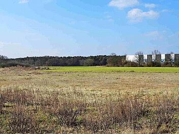 Auf dieser Fläche an der Straße nach Untermembach wird die Freizeitanlage errichtet.  Foto: Richard Sänger
