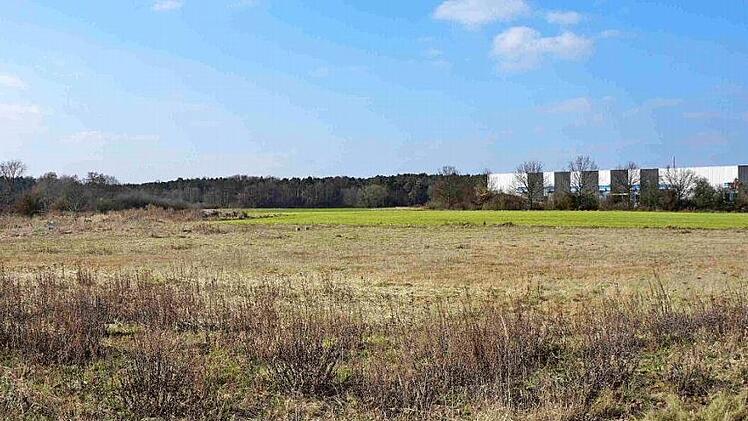 Auf dieser Fläche an der Straße nach Untermembach wird die Freizeitanlage errichtet.  Foto: Richard Sänger