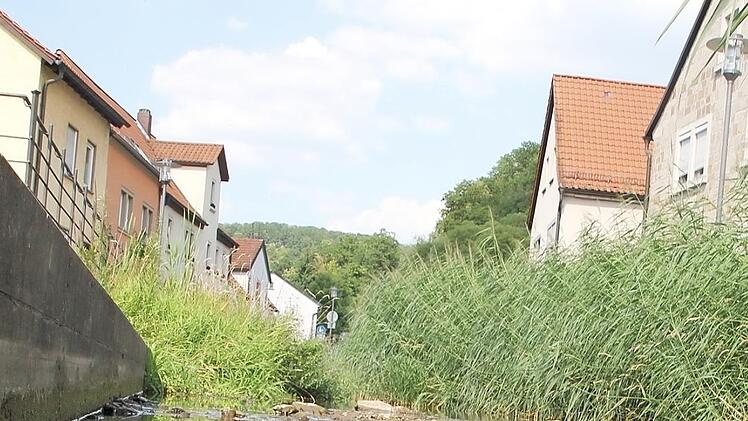 Die Altach in Zeil liegt flach in ihrem Bett, erhöhte Stellen des Grundes liegen trocken.