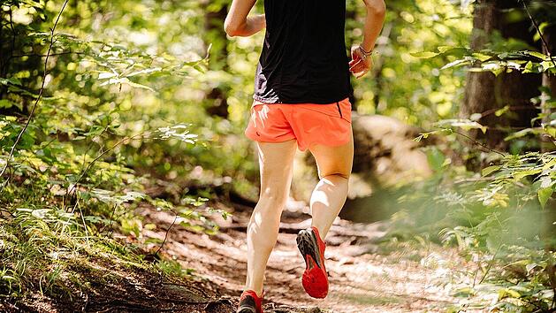 Trail Running braucht keine Berge, jeder Waldweg bietet sich dafür an.