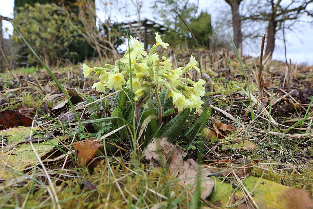 SoS Poppendorf bei Pretzfeld im  Lkr. Fo; Foto: Barbara Herbst