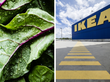 Ikea: Fleischesser müssen mehr zahlen