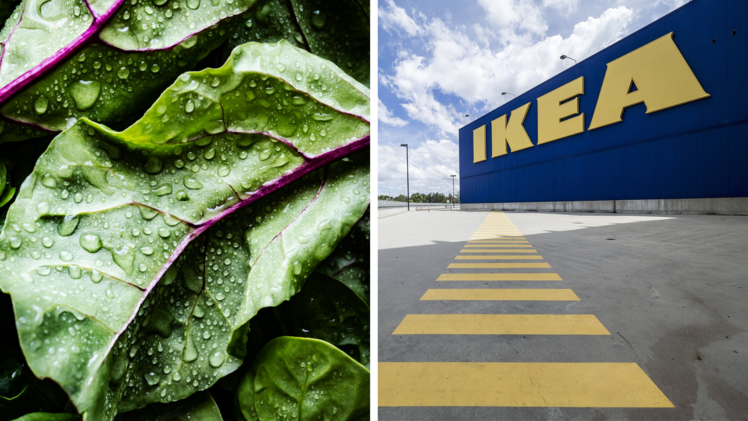 Ikea: Fleischesser müssen mehr zahlen