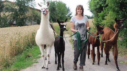 Neue Attraktion beim M&uuml;rschter Kinderfest: Lama-Touren durch die Stadt gegen eine Spende, veranstaltet von der Orenda-Ranch in Burglauer.  Foto: Orenda-Ranch