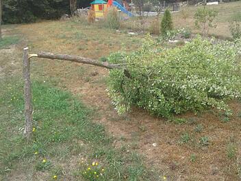 Kein schöner Anblick - auf dem Zapfendorfer  Spielplatz Am Bergacker war dieser Baum abgesägt worden. Foto: Gemeinde Zapfendorf