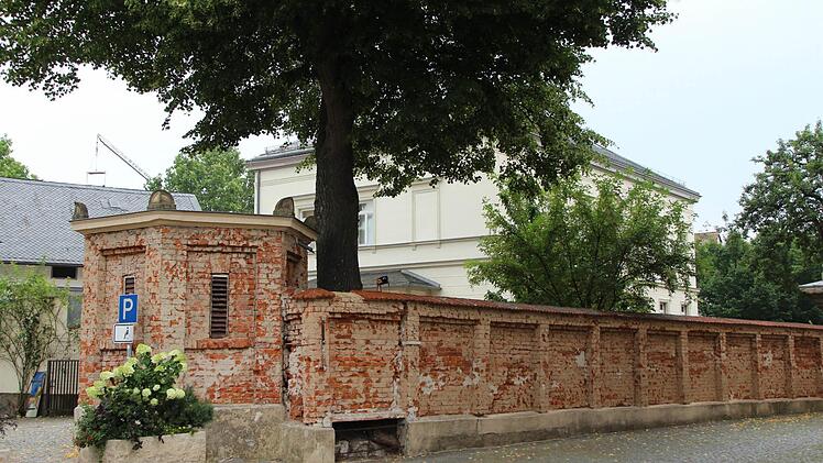 Auch die denkmalgeschützte Mauer ums Pfarrhaus wird neu bedacht und verputzt. Die Wurzeln der Linde (Mitte) sollen noch mehr Platz bekommen. Foto: Andreas Dorsch