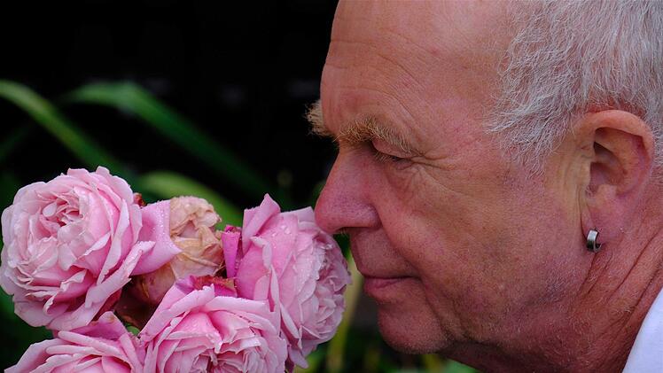 Etwa 50 Rosen, darunter zum Beispiel auch eine Prinzessin Diana oder eine Lady Emma Hamilton, zieren Werner Becks Garten und verströmen einen anziehenden Duft.  Foto: Gerd Schaar
