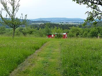 Es blüht links und rechts des Weges zum Waldkindergarten. Foto: Pauline Lindner