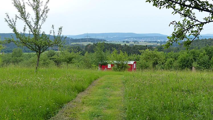 Es blüht links und rechts des Weges zum Waldkindergarten. Foto: Pauline Lindner