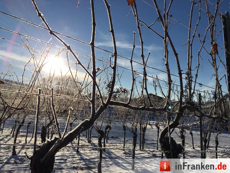 Eis und Schnee in Franken - die schönsten Winterleserfotos